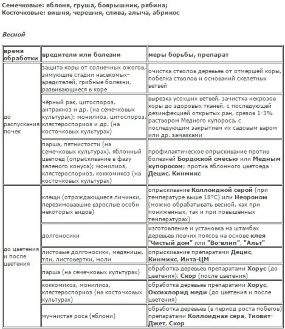 Схема обработки яблонь от болезней и вредителей весной