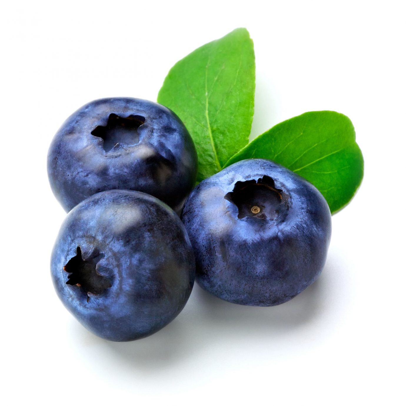 Blueberry-1380x1380